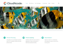 Tablet Screenshot of cloudncode.com